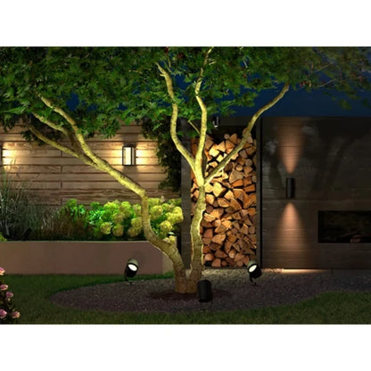 Philips Hue White&Color Ambiance Lily XL Outdoor LED-Spotlight Schwarz 15W